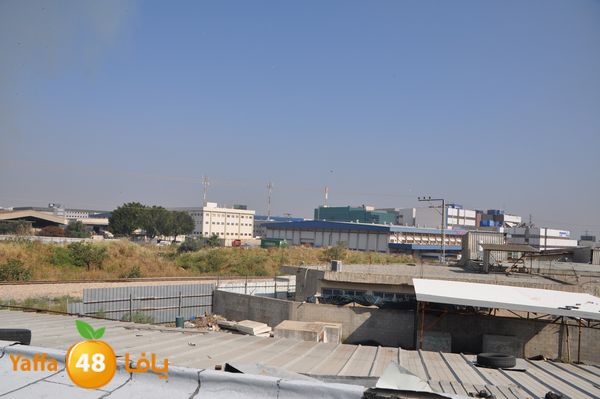 firecartoonsecnd506 (18).JPG